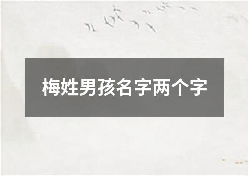 梅姓男孩名字两个字