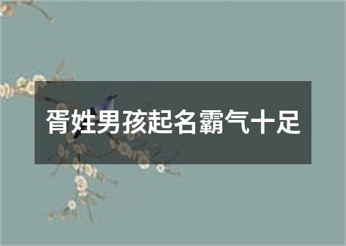 胥姓男孩起名霸气十足