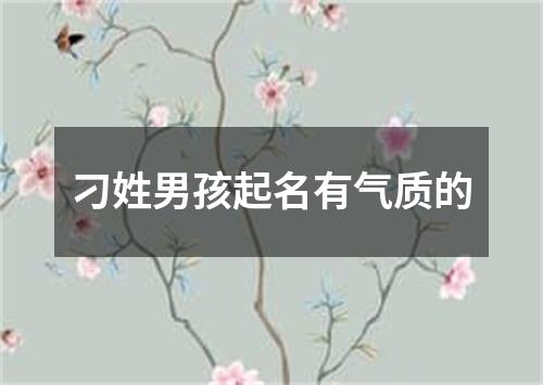 刁姓男孩起名有气质的