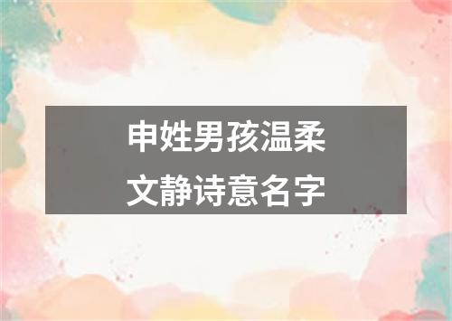 申姓男孩温柔文静诗意名字