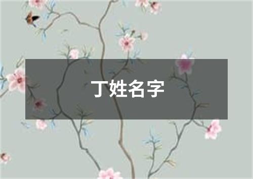 丁姓名字