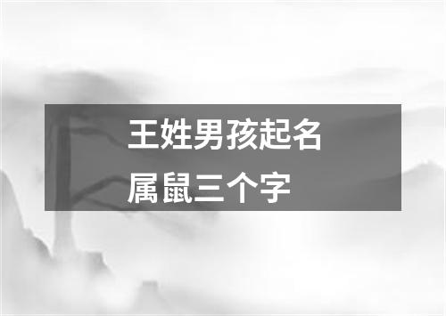 王姓男孩起名属鼠三个字