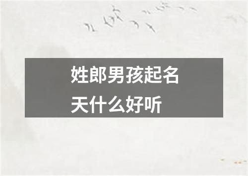 姓郎男孩起名天什么好听