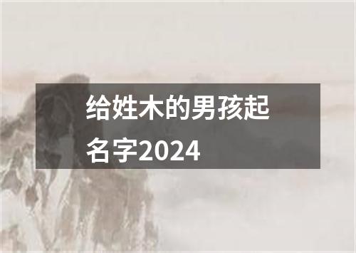 给姓木的男孩起名字2024