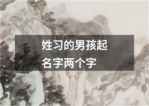 姓习的男孩起名字两个字