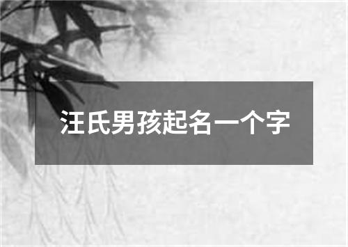 汪氏男孩起名一个字