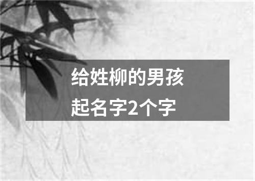 给姓柳的男孩起名字2个字