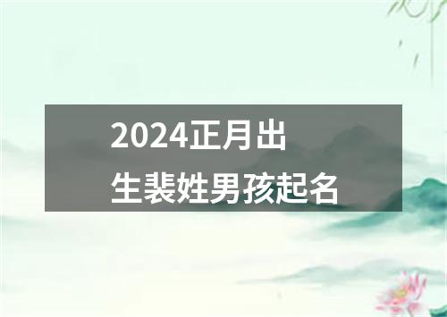 2024正月出生裴姓男孩起名