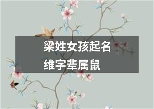 梁姓女孩起名维字辈属鼠