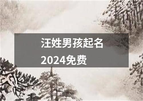 汪姓男孩起名2024免费