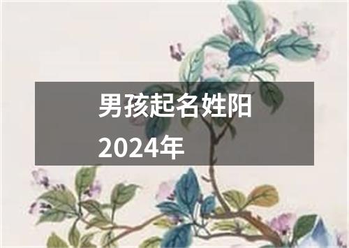 男孩起名姓阳2024年