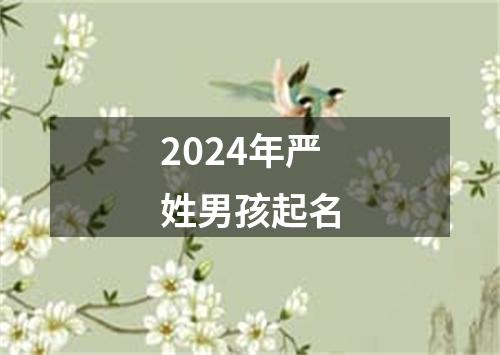 2024年严姓男孩起名