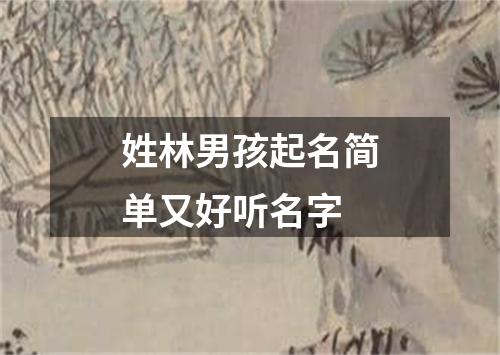 姓林男孩起名简单又好听名字