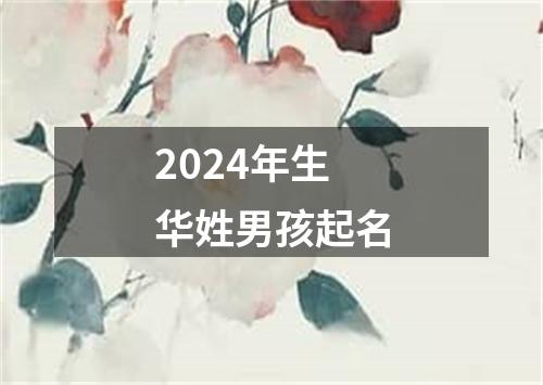 2024年生华姓男孩起名