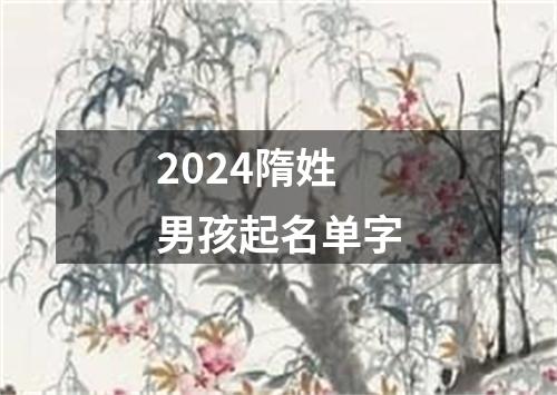 2024隋姓男孩起名单字