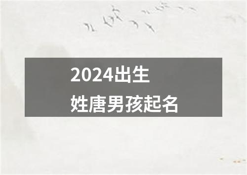 2024出生姓唐男孩起名