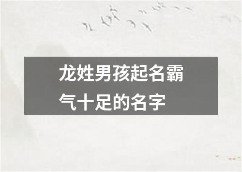 龙姓男孩起名霸气十足的名字