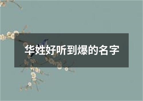 华姓好听到爆的名字