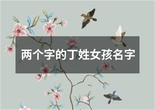 两个字的丁姓女孩名字