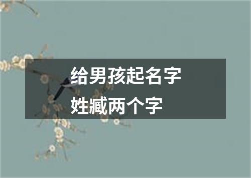 给男孩起名字姓臧两个字