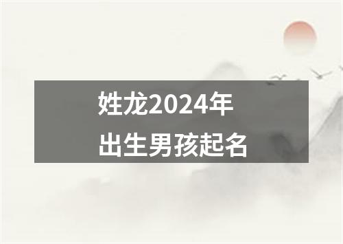 姓龙2024年出生男孩起名