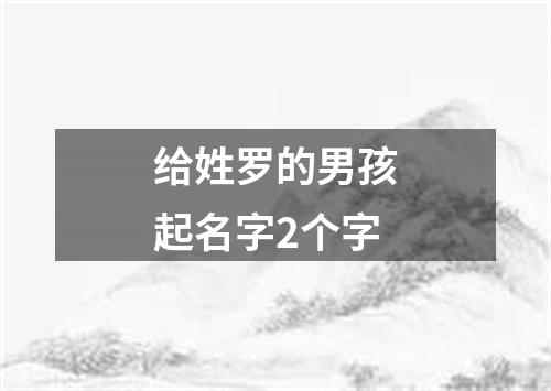 给姓罗的男孩起名字2个字