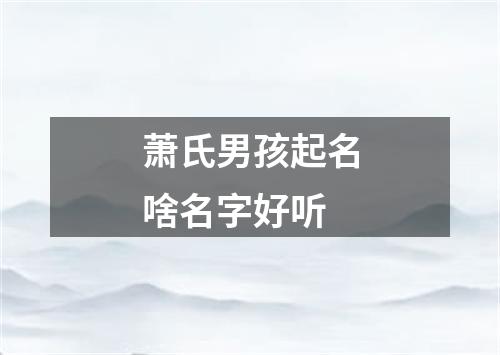 萧氏男孩起名啥名字好听