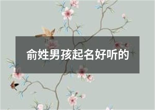 俞姓男孩起名好听的