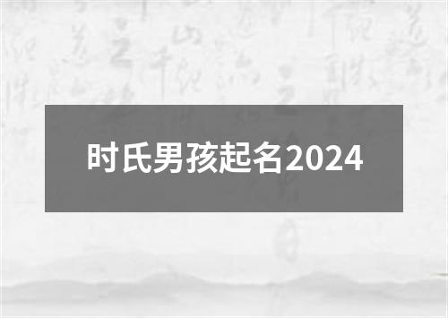 时氏男孩起名2024