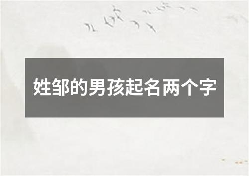 姓邹的男孩起名两个字