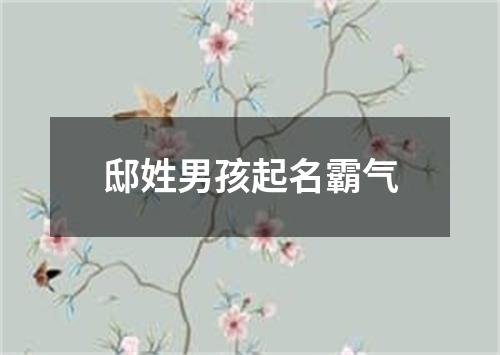 邸姓男孩起名霸气