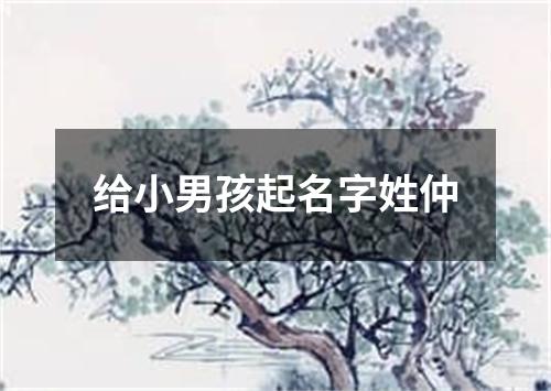 给小男孩起名字姓仲