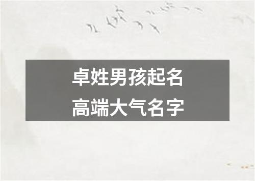 卓姓男孩起名高端大气名字