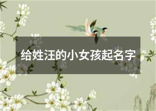 给姓汪的小女孩起名字