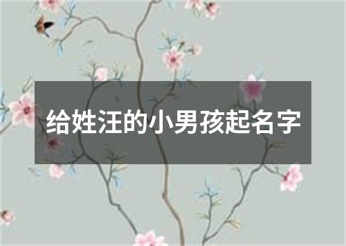 给姓汪的小男孩起名字