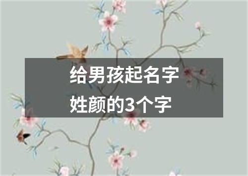 给男孩起名字姓颜的3个字