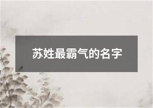 苏姓最霸气的名字