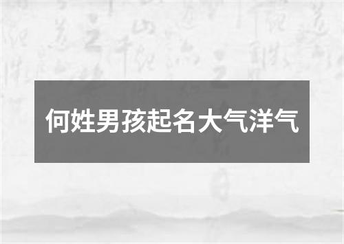 何姓男孩起名大气洋气