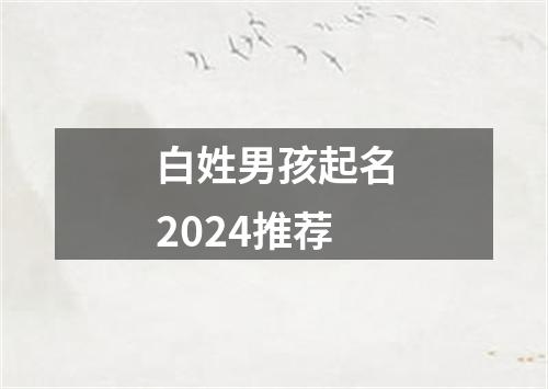 白姓男孩起名2024推荐