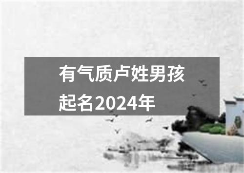 有气质卢姓男孩起名2024年