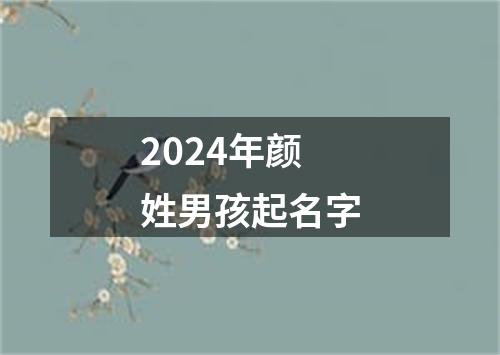 2024年颜姓男孩起名字