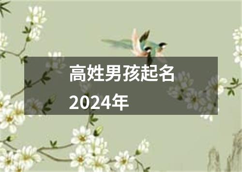 高姓男孩起名2024年