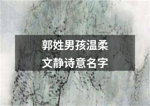 郭姓男孩温柔文静诗意名字