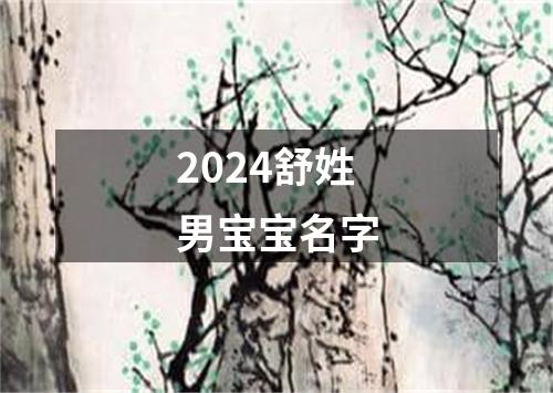 2024舒姓男宝宝名字