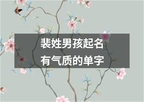 裴姓男孩起名有气质的单字