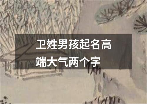 卫姓男孩起名高端大气两个字