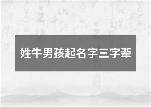 姓牛男孩起名字三字辈