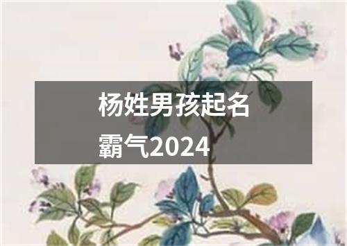 杨姓男孩起名霸气2024