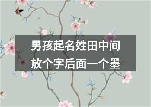 男孩起名姓田中间放个字后面一个墨