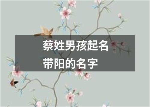 蔡姓男孩起名带阳的名字